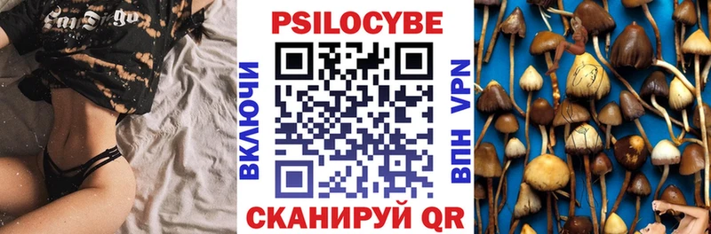 Купить где  Славгород  Псилоцибиновые грибы GOLDEN TEACHER 